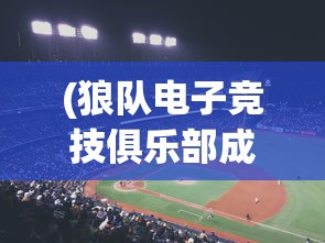 (狼队电子竞技俱乐部成员)狼队电子竞技俱乐部，电竞领域的璀璨明珠