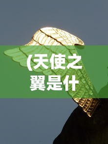(天使之翼是什么)天使之翼，神秘翅膀背后的故事与寓意