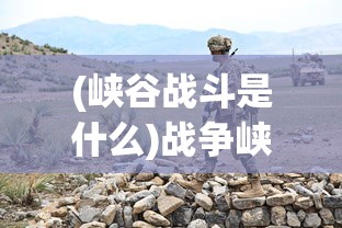 (峡谷战斗是什么)战争峡谷日常任务位置详解及常见问题解答