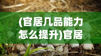(官居几品能力怎么提升)官居几品，菩提子的获取攻略详解