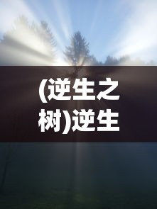 (九天战神诀免费阅读无弹窗全文)九天战神诀免费阅读无弹窗，深入解析与探讨