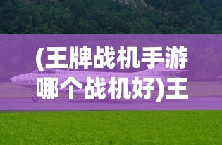 (王牌战机手游哪个战机好)王牌战机手游，游戏介绍与常见问题解答