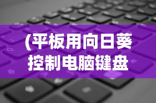 (平板用向日葵控制电脑键盘不能用了)向日葵远程控制软件在平板上控制电脑时键盘失效问题解析