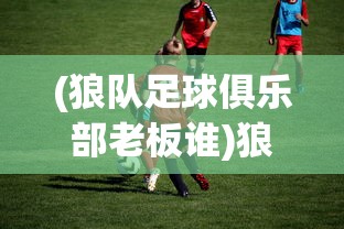 (霸天纪iOS版)霸天纪iOS版，深度解析与常见问题解答