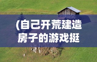(自己开荒建造房子的游戏挺老的)开荒建房大挑战，探索自己建造房子的游戏世界