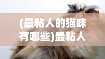 (q爆三国破解版下载)Q爆三国，策略、英雄与奇幻元素的游戏体验