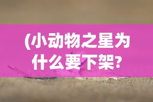 (小动物之星为什么要下架?)小动物之星下架原因深度解析
