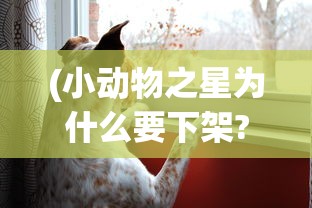 (小动物之星为什么要下架?)小动物之星下架原因深度解析