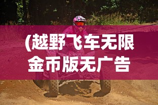 (长生劫攻略第二关怎么过关)长生劫攻略第二关，探险者的挑战与策略