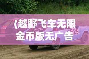 (越野飞车无限金币版无广告)越野小飞车无限金币版，游戏体验与深度解析