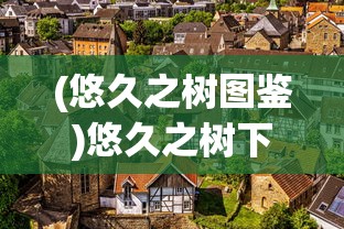 (悠久之树图鉴)悠久之树下的元素之心，深度解析与探索