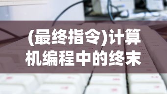 (最终指令)计算机编程中的终末指令，定义、应用与未来发展