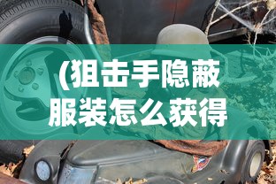 (狙击手隐蔽服装怎么获得)狙击手隐蔽服装，隐匿与生存的双重保障
