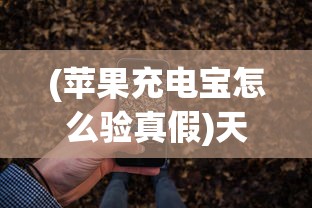 (苹果充电宝怎么验真假)天枢APP使用指南，功能、特点与常见问题解答