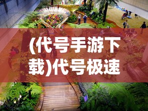 (代号手游下载)代号极速手游，一场极速的冒险之旅