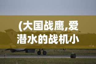 (大国战鹰,爱潜水的战机小说)大国战鹰，探索现代战争中的空中霸主
