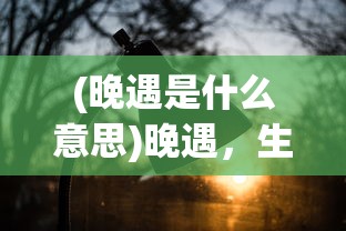 (晚遇是什么意思)晚遇，生命中的不期而遇与深刻含义