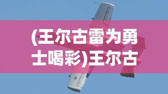 (王尔古雷为勇士喝彩)王尔古雷战斗机，探索未来空战的主力先锋