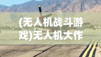 (无人机战斗游戏)无人机大作战，游戏的魅力与挑战