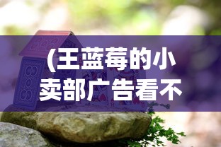 (王蓝莓的小卖部广告看不了什么原因)王蓝莓的小卖部，乡村的微型商业与社区活力之源