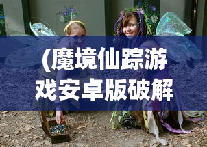 (魔境仙踪游戏安卓版破解版)魔境仙踪游戏安卓版，深度探索与常见问题解答
