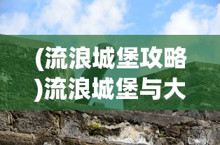(流浪城堡攻略)流浪城堡与大漠之狼，古老传说与现代解读
