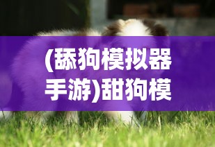 (咪呜记账薄下载)咪呜记账簿游戏，探索虚拟记账的趣味世界