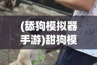 (舔狗模拟器手游)甜狗模拟器人物全解析