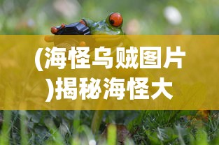 (海怪乌贼图片)揭秘海怪大王乌贼的真相