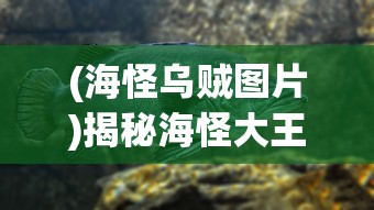 (补天志手游下载)补天志手游，探寻奇幻世界的无限魅力