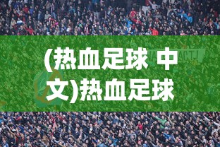 (热血足球 中文)热血足球，汉文版本的游戏魅力与独特之处