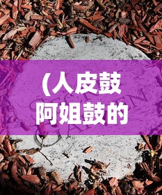 (人皮鼓阿姐鼓的故事)人皮鼓与阿姐鼓，神秘文化现象深度解析