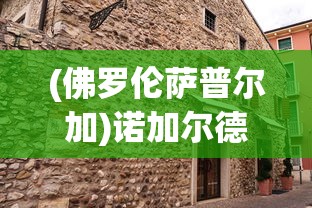 (佛罗伦萨普尔加)诺加尔德佛罗伦萨，历史、文化与艺术的交织