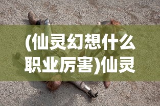 (仙灵幻想什么职业厉害)仙灵幻想与长安幻想，哪款游戏更好玩？