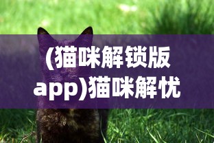 (猫咪解锁版app)猫咪解忧馆app，一站式解决你的猫咪烦恼