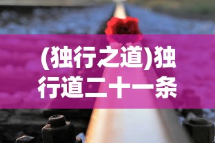 (独行之道)独行道二十一条，探索人生旅途的指引之光