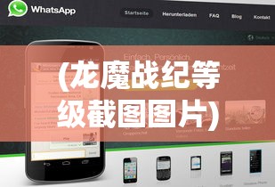 (龙魔战纪等级截图图片)龙魔战纪等级截图，游戏进阶与探索之旅