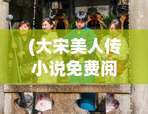 (大宋美人传小说免费阅读)大宋美人传，历史与文化的交融之美