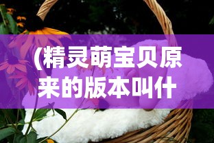 (精灵萌宝贝原来的版本叫什么名字)关于精灵萌宝贝，原版本的探索与解析
