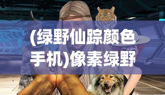 (绿野仙踪颜色手机)像素绿野仙踪手游，探索像素世界的奇幻之旅
