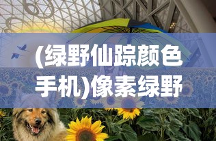 (绿野仙踪颜色手机)像素绿野仙踪手游，探索像素世界的奇幻之旅