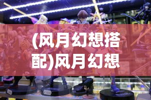 (风月幻想搭配)风月幻想，十大必练角色解析与推荐