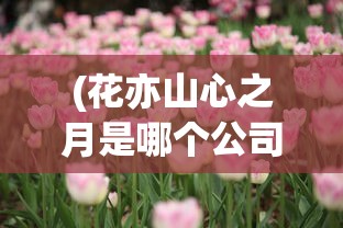 (花亦山心之月是哪个公司的游戏)花亦山心之月，背后的公司揭秘