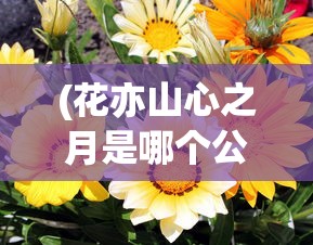 (花亦山心之月是哪个公司的游戏)花亦山心之月，背后的公司揭秘
