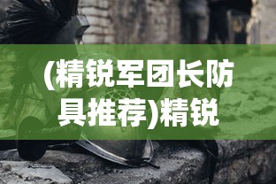 (精锐军团长防具推荐)精锐军团长防具，历史、功能与特色分析