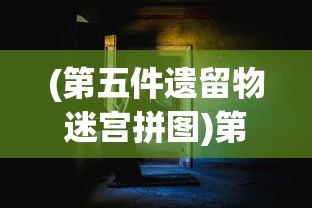(第五件遗留物迷宫拼图)第五件遗留物111165，神秘事件的深度解析与探索