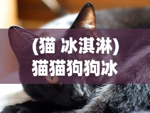 (猫 冰淇淋)猫猫狗狗冰淇淋与物品升级的创新策略