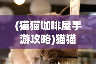 (英雄联盟单机版手游)英雄联盟单机版，游戏探索与常见问题解答
