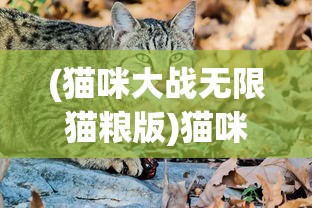 (猫咪大战无限猫粮版)猫咪打猎无尽模式无限金币，游戏攻略与深度解析
