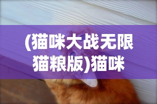 (猫咪大战无限猫粮版)猫咪打猎无尽模式无限金币，游戏攻略与深度解析